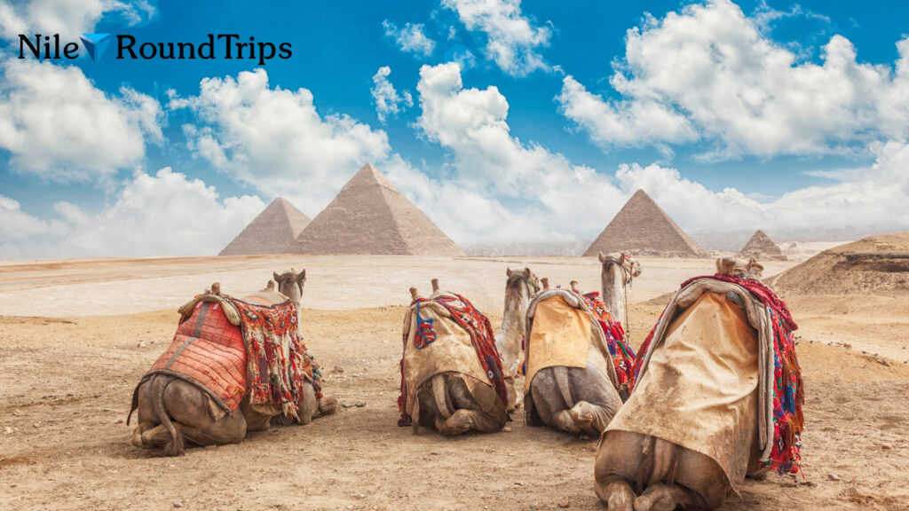 Cairo and Surroundings in 5 Days Trip