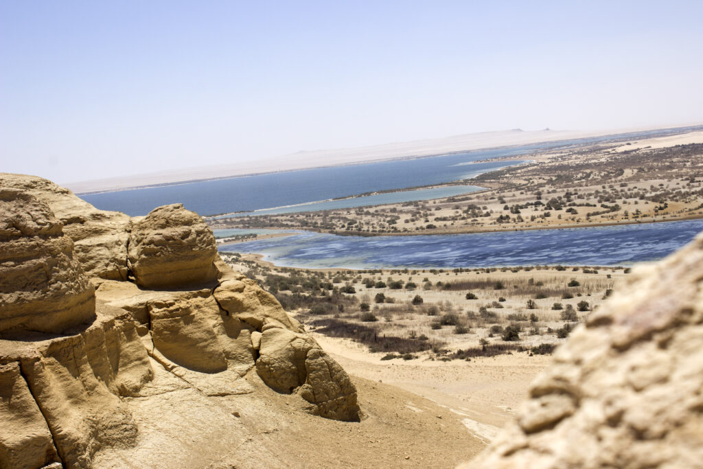 Over Day Tour to Fayoum Oasis From Cairo